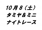 タミヤ＆ミニナイトレース