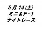 ミニ＆F-1ナイトレース