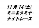 ミニ＆タミヤナイトレース