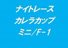 ナイトレース　カレラカップ/ミニ/F-1