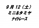 ミニ&タミヤナイトレース