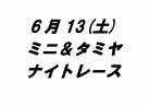 ミニ＆タミヤナイトレース