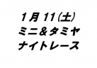 ミニ＆タミヤナイトレース