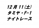 タミヤ・F-1ナイトレース