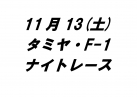 タミヤ/F-1ナイトレース