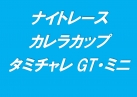 タミチャレGT/ミニ／カレラカップナイトレース