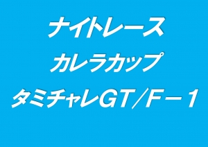 ナイトレース　カレラカップ/タミチャレＧＴ/Ｆ-１