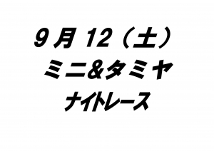ミニ&タミヤナイトレース