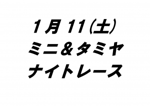 ミニ＆タミヤナイトレース