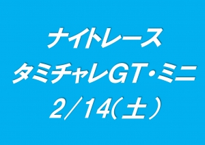 ナイｔｐレース　タミチャレＧＴ／ミニ