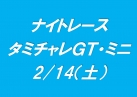 ナイｔｐレース　タミチャレＧＴ／ミニ
